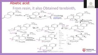 M Sc IV Semester Terpenoids Class 3