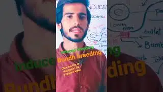 Induced(Bundh breeding) #shorts #youtube shorts