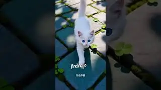 沒有台詞，卻讓人看完不想滑走的貓咪影片 A Peaceful Moment in the Sunny Gar #cat #catshorts  #貓咪短片 #cute