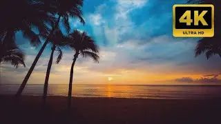 Relaxation ensemble / Soothing sound of ocean waves