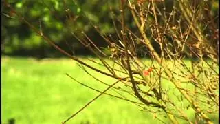 vx1000 79075 test footage