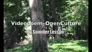 videopoem openculture My Summer Lesson