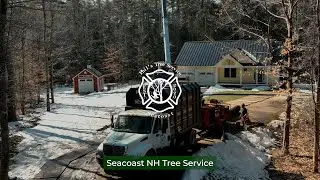 Phils Tree Service Seacoast, NH Tree Removal Service