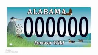 The Art of Forever Wild