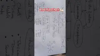 B.ed m copy kaise likhe? likhne ka pattern ✍🏻📖 flow chart kaise bnaye #crackexam #exam #ccsu #msu