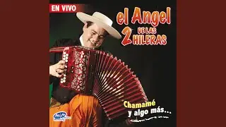 El Toro (En Vivo)