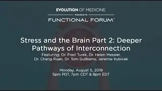 Aug 2019 Functional Forum - Stress and the Brain Part 2: Deeper Pathways of Interconnection