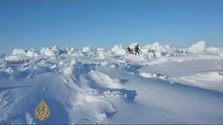Surviving harsh Arctic conditions