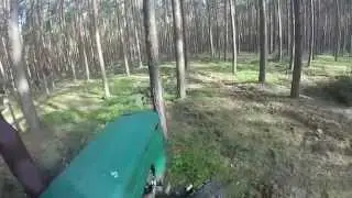 Trzebież - zrywka drewna