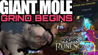 RS3 Giant Mole Log Part 1: The Grind for the Pet Begins!