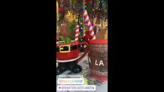 Visiting Brewsters in Petaluma, Ca for the Miracle Christmas Cocktail Pop Up Experience