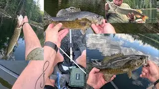 BIG PIKE N BASS