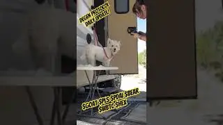 Grooming My Dog to Sell Wool for More Pulsechain Assets 🐕💰 #Pulsechain