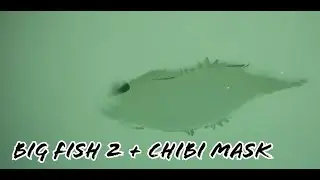 ( OOB ) Big Fish 2 : Chibi Mask : Children of the light : SKY