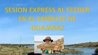 Sesión a feeder express en el Embalse de Guajaraz , Mayo 2023