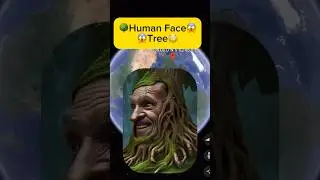 I Found Weird Human Face Tree On Google Earth and Google Maps #shorts #googleearth #googlemaps