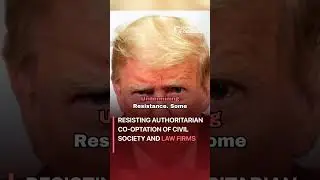 Resisting Authoritarian Co-optation of Civil Society and Law Firms #politics