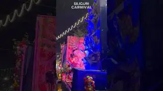 Siliguri Carnival 2025(Durga Puja Visarjan)