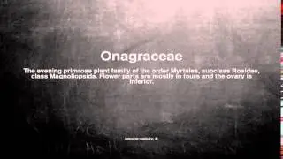 Medical vocabulary: What does Onagraceae mean