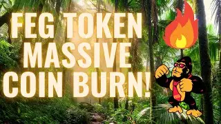FEG MASSIVE COIN BURN!