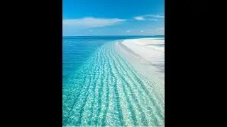 The best of Savannah, Georgia. Tybee Island beach
