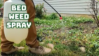Mastering Weed Control In Landscape Beds