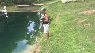 A Fishing Review On Ardent's Bolt Spinning Reel!