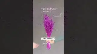 No.1 Trusted Dried Flower Supplier