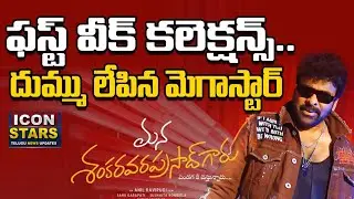 Mana Shankara Varaprasad Garu Weekend Collections & Records | Chiranjeevi ||#iconstars