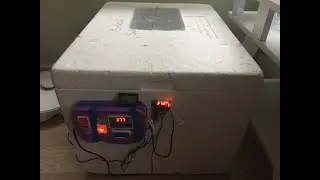 KULUÇKA Makinesi yapımı.Kaz Yumurtası Soğutma İşlemi  ve (Döl) Civciv Kontrolü