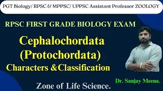 Cephalochordata(Protochordata).RPSC FIRST GRADE BIOLOGY. #rpsc1stgrade #biology #chordates #zoology