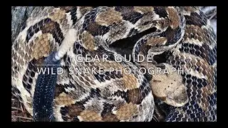 Wild Snake Photography Gear Guide
