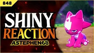 We Lost The Shiny Race But Still Got The Shiny!