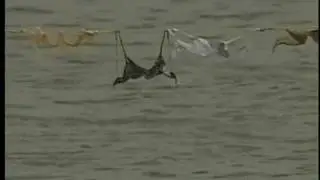 Bras for charity