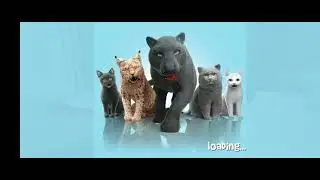 Вера играет в Tom Ran