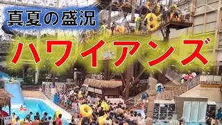 真夏に大盛況「スパリゾート・ハワイアンズ」