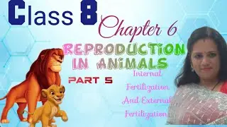 Internal Fertilization And External Fertilization|Class -8Science Chapter -6Reproduction In Animals 