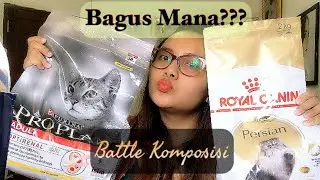 Review x Battle : Proplan vs Royal Canin | Mana sih yang paling bagus?