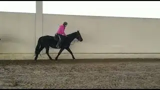 Caballerizas Biku&ntilde;a