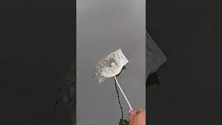 Easy way to catch fish