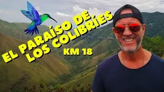 COLIBRÍES EN EL PARAÍSO LA ALEJANDRÍA KM 18 EN CALI COLOMBIA - mirá vé con juan gonzalez