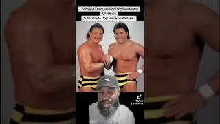 Coliseum Culture Presents Legends Profile killer Bees #wwf #wwe #wrestling #reactionvideo