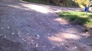 Z50R clone ride