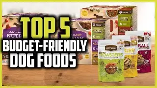 ✅Top 5 Best Budget Friendly Dog Foods in 2024