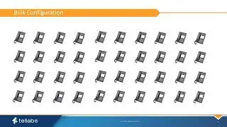 3. Softswitch Voice: Activation and Troubleshooting