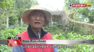 Indigenous village in Pingtung forms cooperative to undertake organic farming)