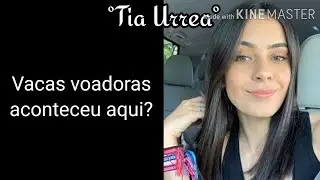 •{Ligação Now United}• Um dia super aleatório na casa do Now United