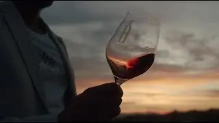 Cinematic Wine Experience - Shot on BMPCC4K (graded with BUTTERY LUTs)