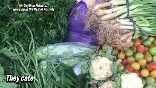 market spills in Indonesia