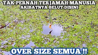 Mancing Belut Dikebun Sawit Kalimantan Ukuran Belutnya Gak Ada Yang Kecil Pak Semua BELUT PURBAKALA!